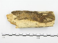 登錄號:F0000447藏品圖，第3張