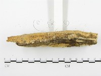 登錄號:F0000447藏品圖，第4張