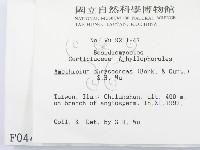 登錄號:F0000448藏品圖，第2張