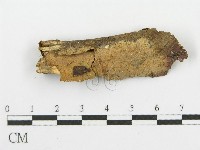 登錄號:F0000448藏品圖，第1張