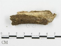 登錄號:F0000448藏品圖，第3張