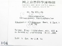 登錄號:F0000449藏品圖，第2張