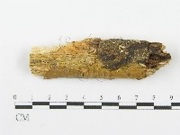 登錄號:F0000449藏品圖，第1張