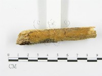 登錄號:F0000449藏品圖，第3張