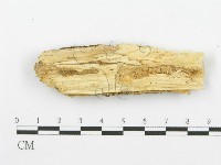 登錄號:F0000449藏品圖，第4張