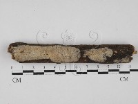 登錄號:F0000450藏品圖，第1張