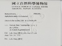 館號:F0000451藏品圖，第2張