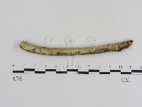 登錄號:F0000452藏品圖，第1張