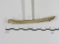 登錄號:F0000452藏品圖，第3張