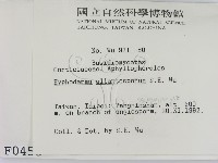 登錄號:F0000453藏品圖，第2張