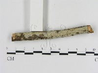 登錄號:F0000453藏品圖，第3張