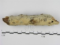 登錄號:F0000454藏品圖，第1張