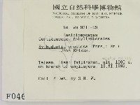 登錄號:F0000463藏品圖，第2張