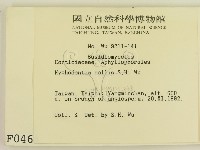 登錄號:F0000464藏品圖，第2張