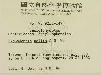 登錄號:F0000465藏品圖，第2張