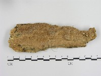 登錄號:F0000465藏品圖，第1張