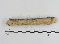 登錄號:F0000468藏品圖，第1張