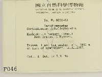 登錄號:F0000469藏品圖，第2張