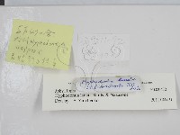 登錄號:F0000470藏品圖，第2張