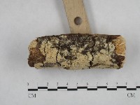 登錄號:F0000470藏品圖，第3張
