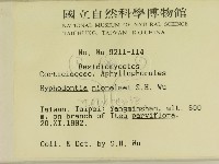 登錄號:F0000471藏品圖，第2張