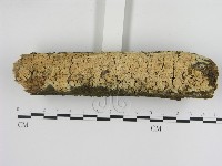 登錄號:F0000471藏品圖，第1張
