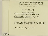 登錄號:F0000472藏品圖，第2張