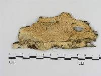 登錄號:F0000472藏品圖，第1張