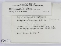 登錄號:F0000473藏品圖，第2張