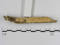登錄號:F0000473藏品圖，第1張