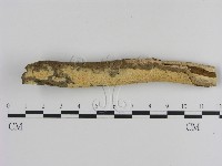 登錄號:F0000473藏品圖，第3張