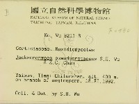 登錄號:F0000480藏品圖，第2張