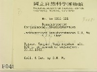 登錄號:F0000481藏品圖，第2張