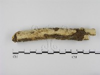 登錄號:F0000484藏品圖，第1張
