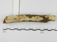 登錄號:F0000484藏品圖，第3張