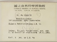 登錄號:F0000485藏品圖，第2張