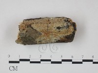 登錄號:F0000485藏品圖，第1張