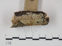 登錄號:F0000485藏品圖，第3張
