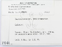 館號:F0000486藏品圖，第2張
