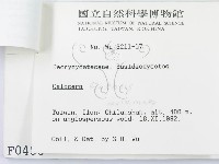 館號:F0000486藏品圖，第3張