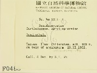登錄號:F0000488藏品圖，第2張