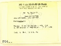 刺皮菌屬藏品圖，第2張