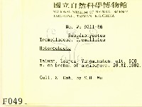 刺皮菌屬藏品圖，第2張