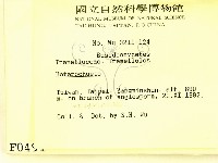 刺皮菌屬藏品圖，第2張