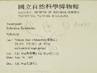 炭角菌屬藏品圖，第2張