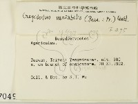 登錄號:F0000495藏品圖，第2張