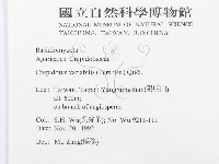 登錄號:F0000495藏品圖，第4張