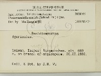 登錄號:F0000496藏品圖，第2張