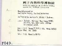 登錄號:F0000497藏品圖，第2張