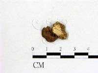 登錄號:F0000497藏品圖，第1張